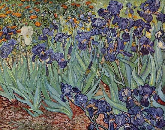 Vincent Van Gogh. Irises